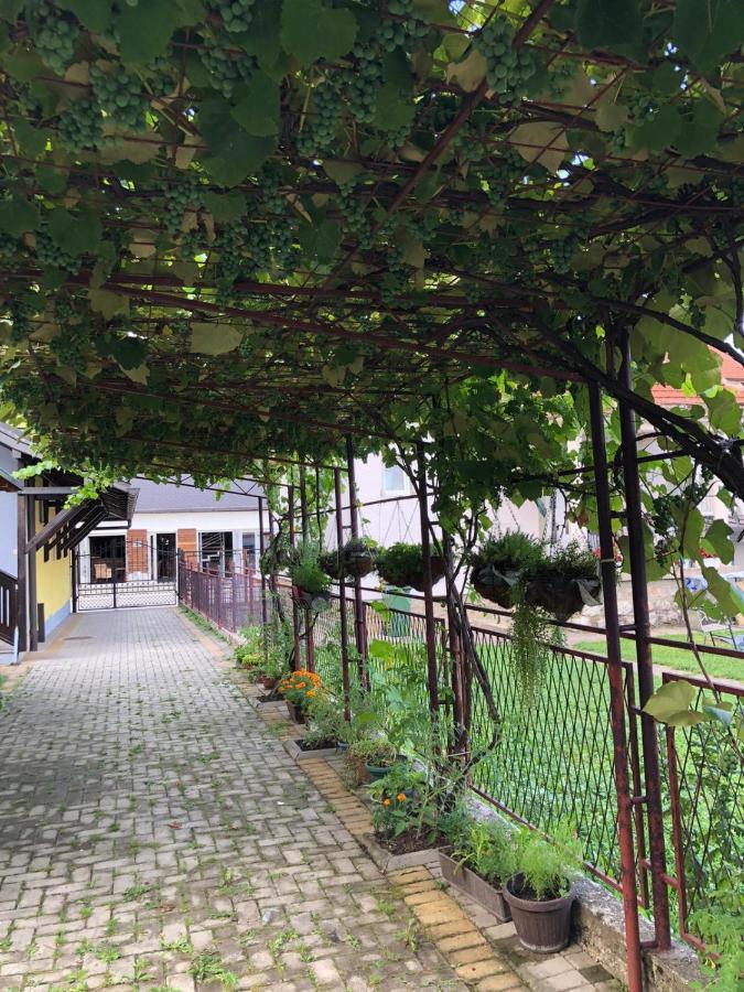 Apartmani Joma Bajina Basta Εξωτερικό φωτογραφία